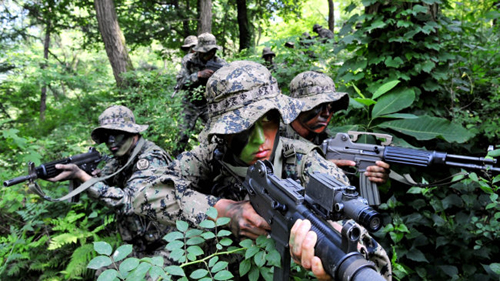 육군특수전사령부 비호부대 장병이 수색정찰 훈련을 하고 있다.