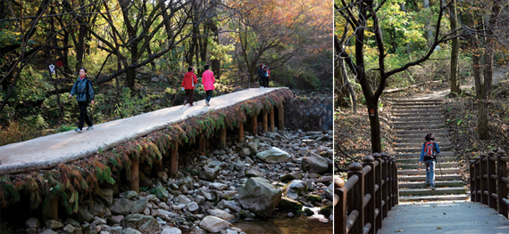 ▲순례길 구간의 작은 계곡에 놓인 섶다리.▲▲흰구름길 빨래골 부근의 나무계단을 오르는 탐방객.