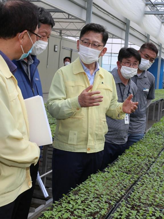 <p>김현수 농림축산식품부 장관은 8.13일(목) 오후 충남 아산 소재 가을배추 육묘장을 방문&middot;격려하고 인근 벼 병해충 방제 현장을 점검하고 있다.&nbsp;</p>