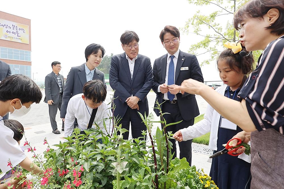 조재호 농촌진흥청장이 22일 충남 천안시 천안능수초등학교를 방문, 초등생들과 학교 텃밭에서 기른 채소를 수확하는 프로그램에 참여하고 있다.