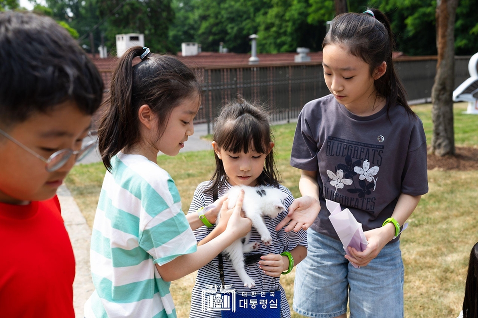어린이들이 5일 서울 용산어린이정원에서 열린 ‘어린이 환경·생태 교육관’ 개관 행사에서 새끼 고양이들을 돌보고 있다. 