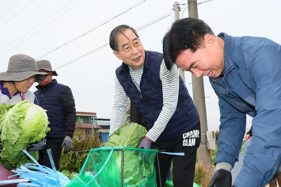 한덕수 국무총리가 27일 충남 아산시 배방읍의 한 배추밭을 찾아 배추 수확을 하고 농민들과 간담회를 하고 있다.