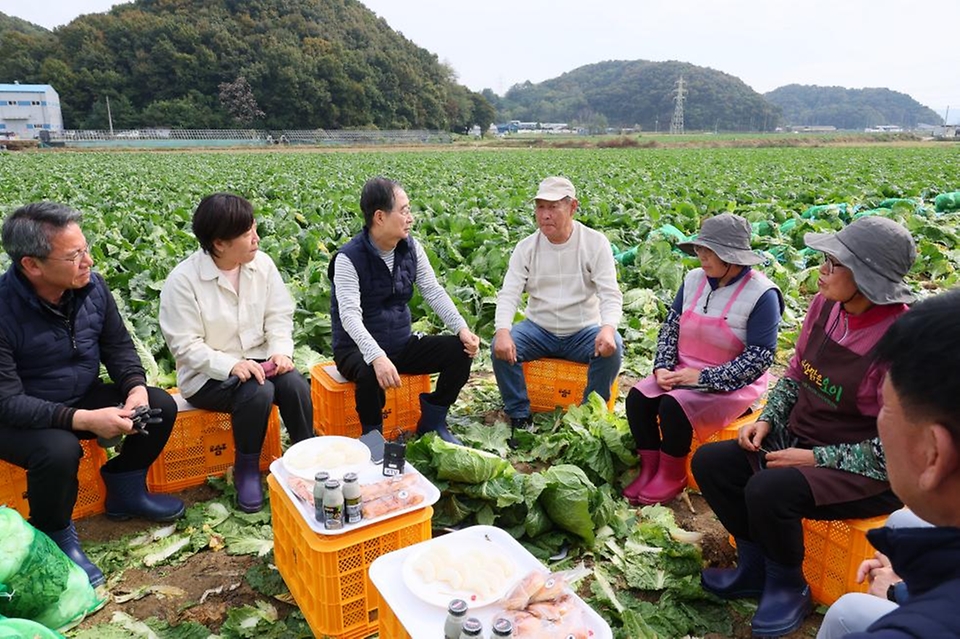 한덕수 국무총리가 27일 충남 아산시 배방읍의 한 배추밭을 찾아 배추 수확을 하고 농민들과 간담회를 하고 있다.