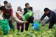 한덕수 국무총리가 27일 충남 아산시 배방읍의 한 배추밭을 찾아 배추 수확을 하고 농민들과 간담회를 하고 있다.