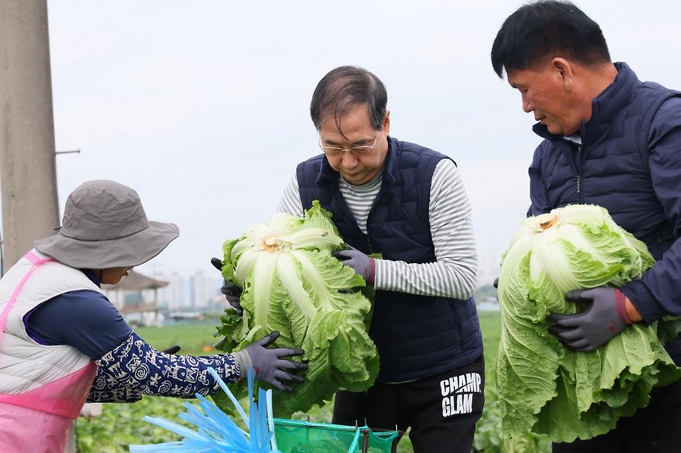 한덕수 국무총리가 27일 충남 아산시 배방읍의 한 배추밭을 찾아 배추 수확을 하고 농민들과 간담회를 하고 있다.