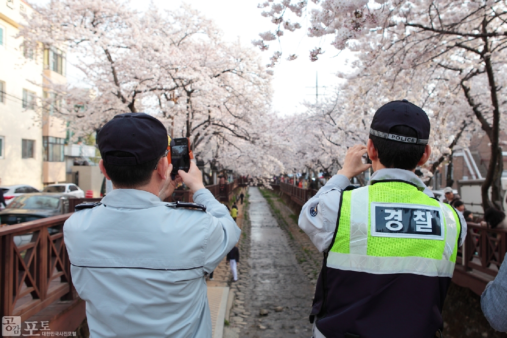 진해에서 가장 벚꽃이 아름다운 여좌천. 그곳에서 교통정리를 하던 경찰들이 벚꽃의 아름다움에 넋을 잃고 사진촬영을 하고 있다.