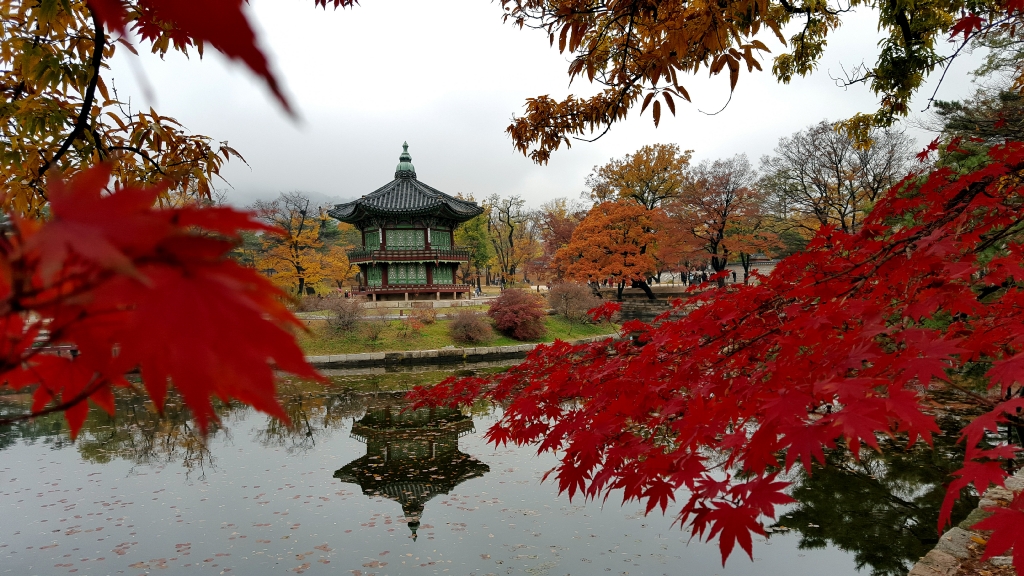 경복궁의 단풍