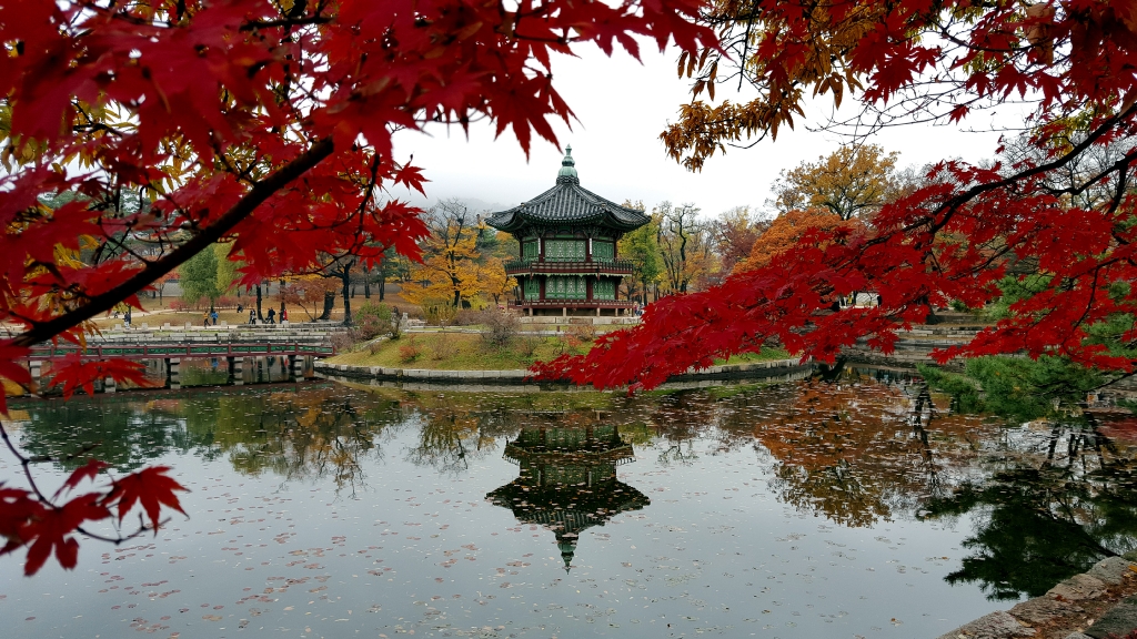 경복궁의 단풍