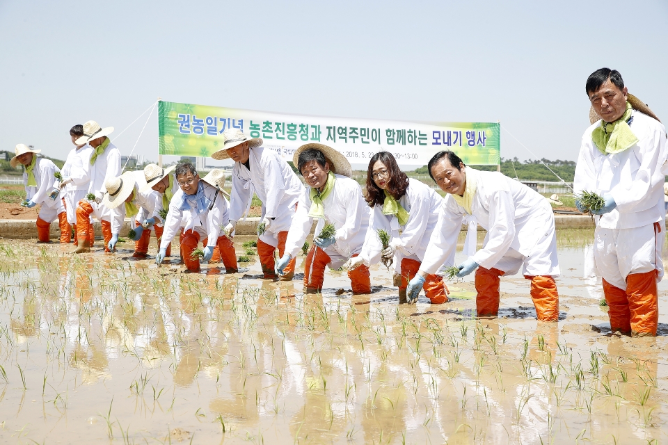 23일 오전 전북 완주군 농촌진흥청 국립식량과학원 답작포장에서 열린 권농일 기념 모내기 행사에 참가한 지역주민들이 라승용 청장과 함께 손모내기를 체험하고 있다. 
풍년을 기원하는 권농일 의미를 계승하고 농업의 중요성을 알리고자 마련된 모내기 행사는 혁신도시 지역주민들을 초청해 소통하고 화합하는 장으로 손모내기와 못밥먹기 등 다양한 체험행사로 진행됐다. 