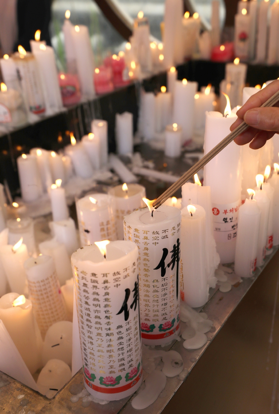 부처님오신날, 봉축법요식 열려