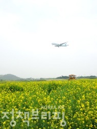 유채꽃으로 수놓은 인천공항 하늘정원 사진 4