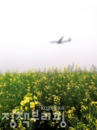 유채꽃으로 수놓은 인천공항 하늘정원 사진 10