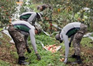 군(軍), 태풍 ‘링링’ 피해복구 신속 지원 사진 1