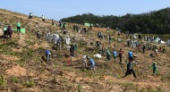 강원 고성 산림생태복원의 숲 조성 행사 사진 3