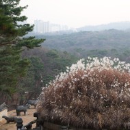 궁궐·종묘·왕릉, 단풍이 아름다운 가을 풍경 사진 8