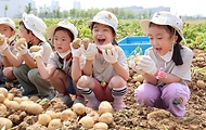 농촌진흥청, 하지 맞아 ‘어린이 감자 수확 체험행사’ 개최 사진 3