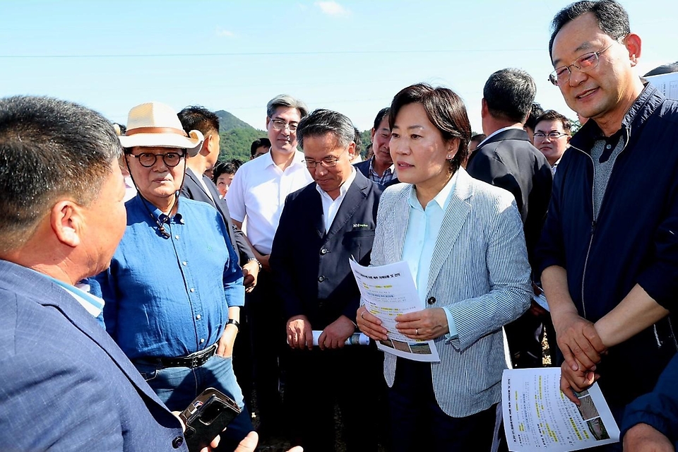 송미령 농림축산식품부 장관은 9월 29일(일) 가을배추 주산지인 전남 해남군 일원의 배추 밭을 찾아 호우 피해상황과 김장배추 작황을 점검하였습니다.