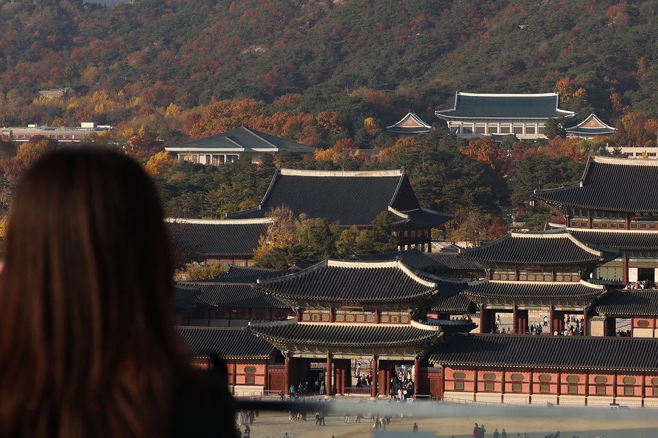 14일 서울 종로구 경복궁과 청와대 일대에 오색빛깔의 풍경이 펼쳐지고 있다.