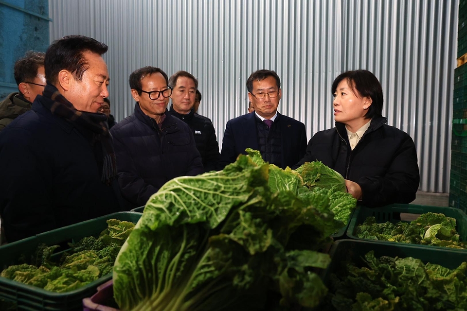 송미령 농림축산식품부 장관은 1월 6일(월) 경상북도 안동시 소재 서안동농협 채소류 출하조절시설을 찾아 현재 보관 중인 배추의 품위 상태를 점검하고, 도매시장으로 방출·공급되는 배추의 출하 상황을 직접 살펴보았습니다.