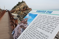 '한국관광100선' 최고 트레킹 코스, 강릉 바다부채길 사진 7