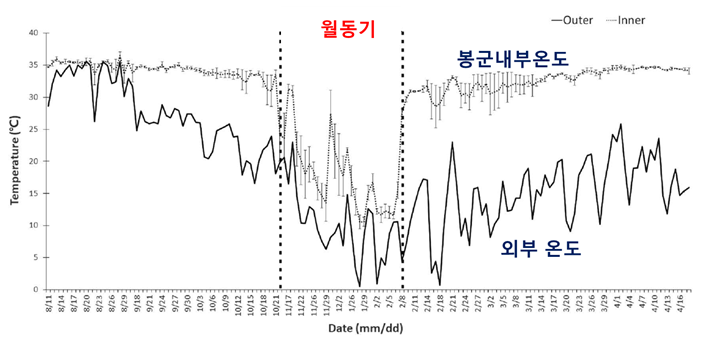 그림입니다.  원본 그림의 이름: CLP0000306c0002.bmp  원본 그림의 크기: 가로 703pixel, 세로 344pixel