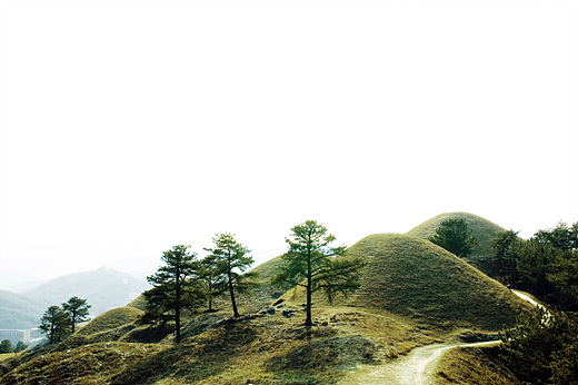 고령 지산리고분군. 크기가 보는 이를 압도한다.