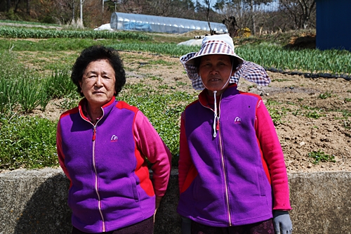 △왼쪽부터 조월련 어르신 (78세), 이옥동 어르신 (66세)