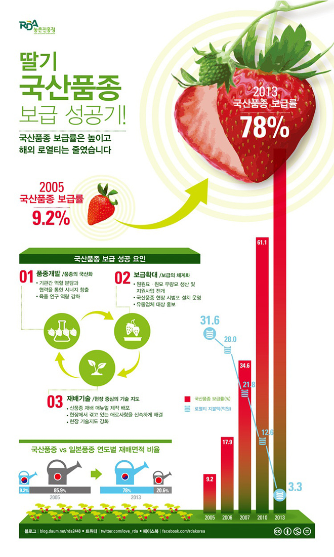 딸기 국산품종 보급 성공기 하단내용 참조