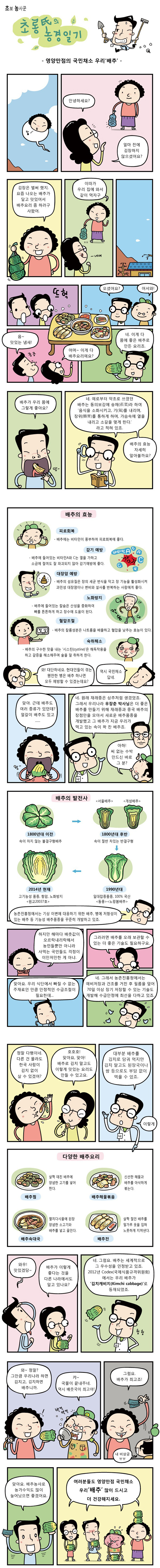 [초롱씨의 농경일기] 영양만점의 국민채소 우리'배추'