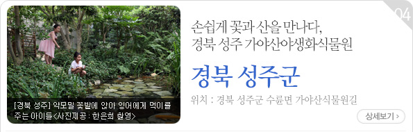 약모밀 꽃밭에 앉아 잉어에게 먹이를 주는 아이들