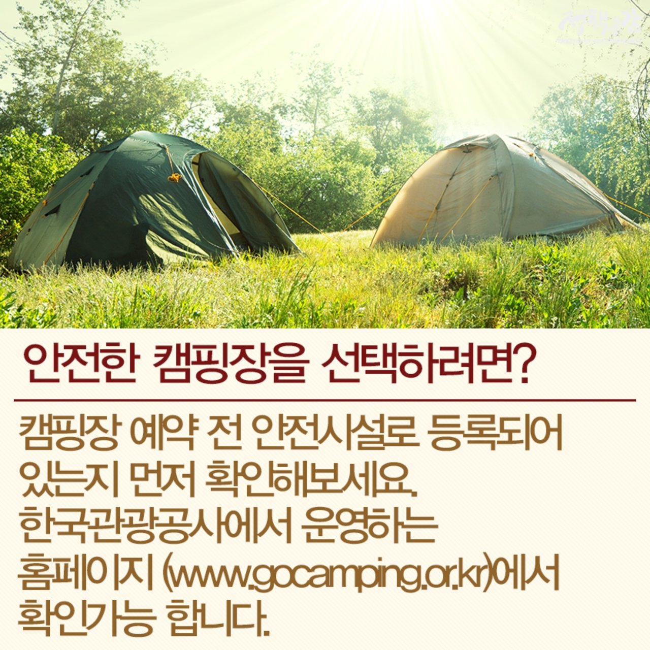 캠핑장에서 안전한 여름휴가 즐기기