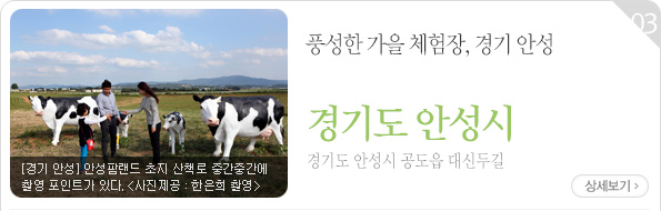 [경기 안성] 안성팜랜드 초지 산책로 중간중간에 촬영 포인트가 있다_사진촬영 한은희. 풍성한 가을 체험장, 경기 안성. 위치 : 경기도 안성시 공도읍 대신두길