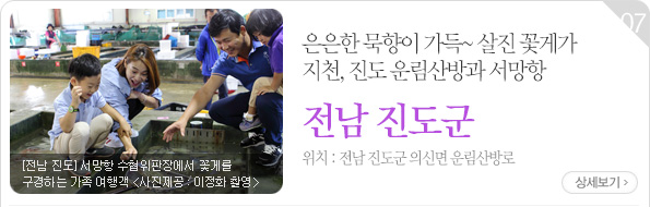 [전남 진도] 서망항 수협위판장에서 꽃게를 구경하는 가족 여행객_사진촬영 이정화. 은은한 묵향이 가득~ 살진 꽃게가 지천, 진도 운림산방과 서망항. 위치 : 전남 진도군 의신면 운림산방로