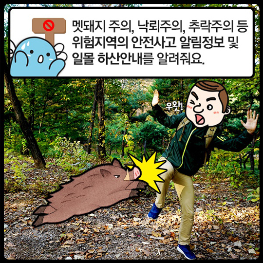 ‘국립공원 산행정보 앱’ 편리하게 확인하세요.