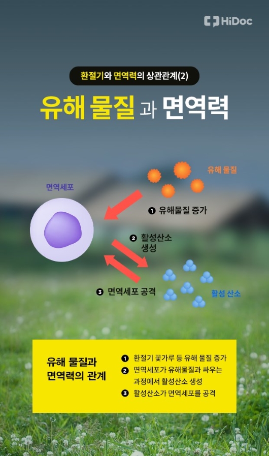 유해물질과 면역력