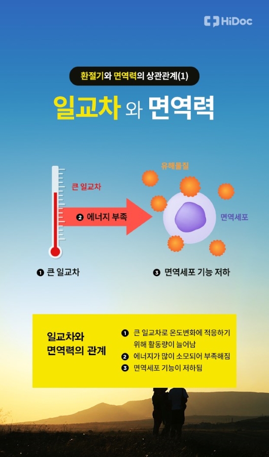 일교차와 면역력