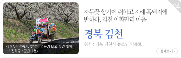 자두꽃 향기에 취하고 지례 흑돼지에 반하다, 김천 이화만리 마을 | 경북 김천시 농소면 벽봉로