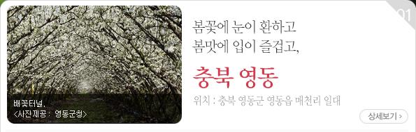 봄꽃에 눈이 환하고 봄맛에 입이 즐겁고, 충북 영동 | 충북 영동군 영동읍 매천리