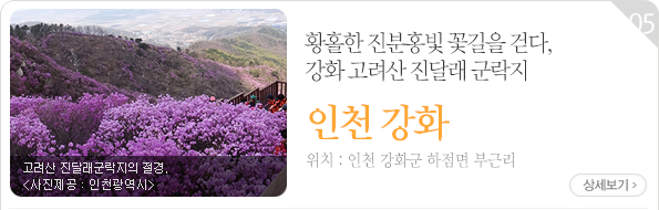 황홀한 진분홍빛 꽃길을 걷다, 강화 고려산 진달래 군락지 | 인천 강화군 하점면 부근리 