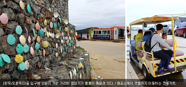 [왼쪽/오른쪽]마을 입구에 소원이 적힌 가리비 껍데기가 줄줄이 매달려 있다. / 매표소에서 갯벌까지 이동하는 전동카트