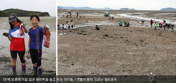 [왼쪽/오른쪽]직접 잡은 바지락을 들고 웃는 아이들 / 갯벌이 훤히 드러난 중리포구