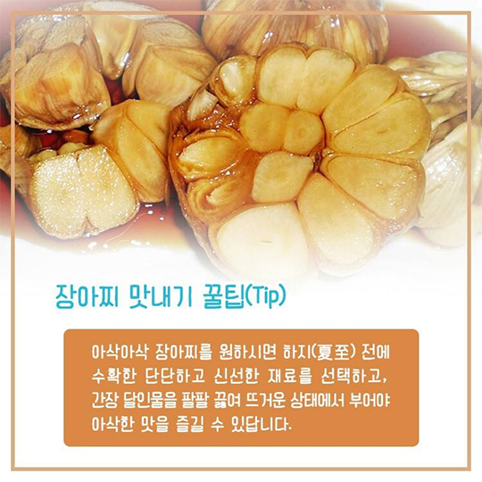 햇마늘 장아찌 맛있게 담그기!