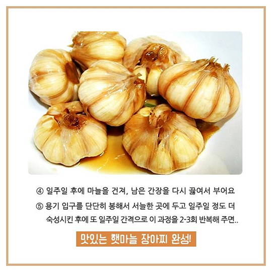 햇마늘 장아찌 맛있게 담그기!