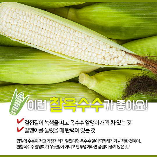 찰옥수수 맛있게 먹는 법!