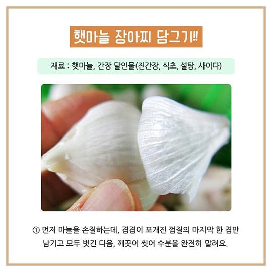 햇마늘 장아찌 맛있게 담그기!