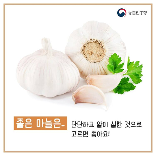 햇마늘 장아찌 맛있게 담그기!