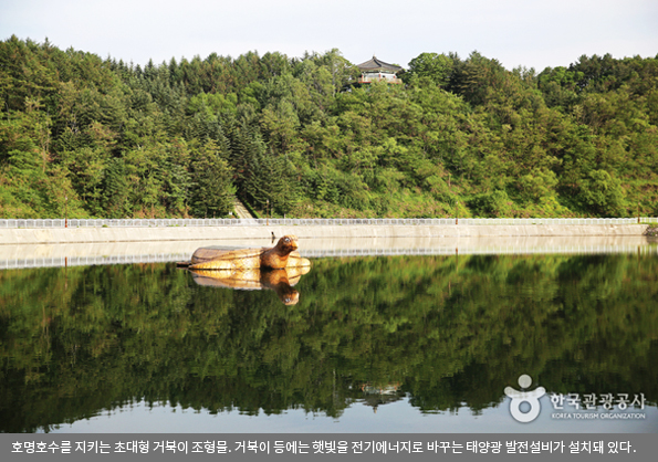 호명호수를 지키는 초대형 거북이 조형물. 거북이 등에는 햇빛을 전기에너지로 바꾸는 태양광 발전설비가 설치돼 있다