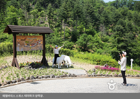 에델바이스 스위스 테마파크 양목장