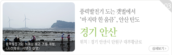 풍력발전기 도는 갯벌에서 ‘바지락 한 움큼’, 안산 탄도 - 경기 안산