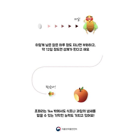 여름 불청객 초파리 내쫓는 방법